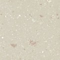 Fossil Solid Surface Swatch
