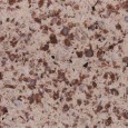 Quartz Q112 Bana Brown
