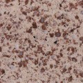 Quartz Q112 Bana Brown