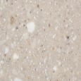 Hybrid solid surface CD605 Mealie Face